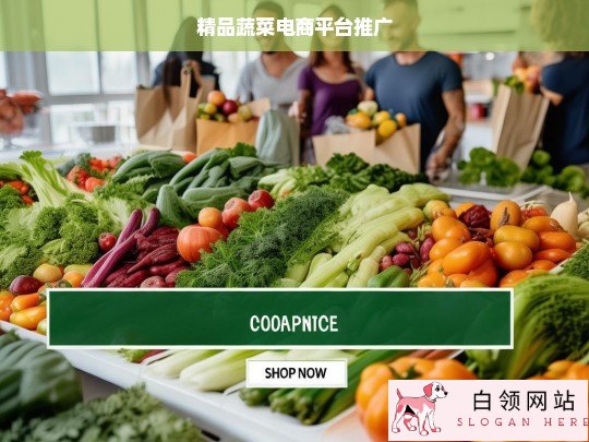 打造健康生活，精品蔬菜电商平台助力新鲜直达餐桌