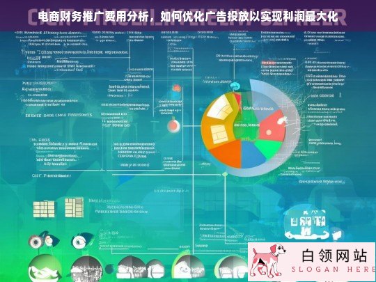 电商财务推广费用分析与广告投放优化策略，实现利润最大化的关键路径