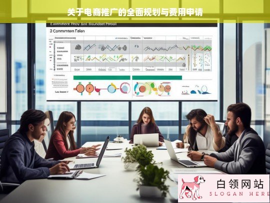 电商推广全面规划及费用申请方案