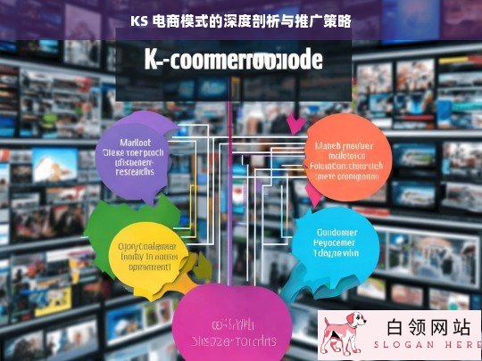 KS 电商模式剖析及推广策略探究