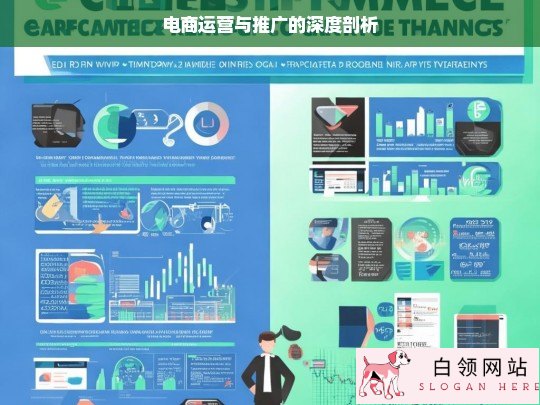 电商运营与推广剖析