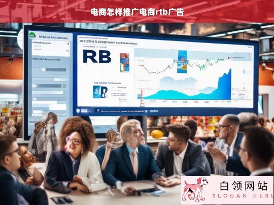 电商RTB广告推广策略与实战技巧