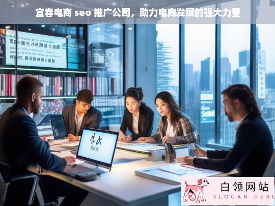 宜春电商 SEO 推广公司，电商发展的助力强手