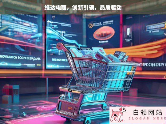 维达电商，创新与品质并行