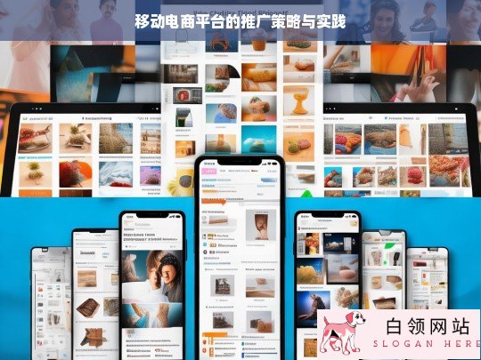 移动电商平台推广策略及实践探究