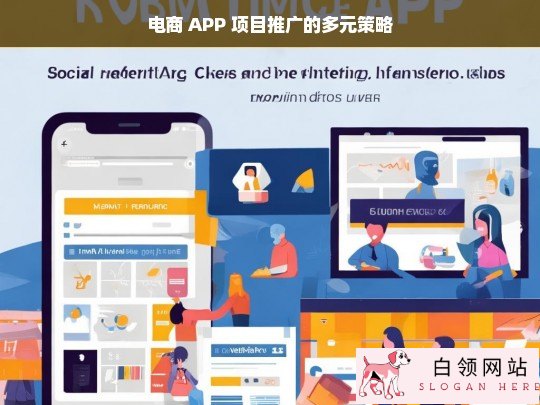 电商 APP 项目推广多元策略探究