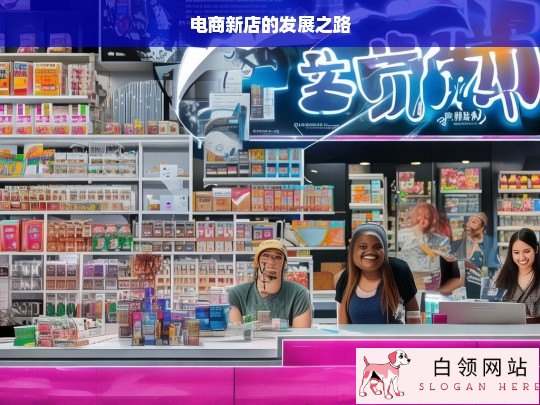 电商新店的成长路径