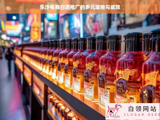 乐沙电商白酒推广策略及成效