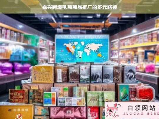 嘉兴跨境电商商品推广多元路径探索