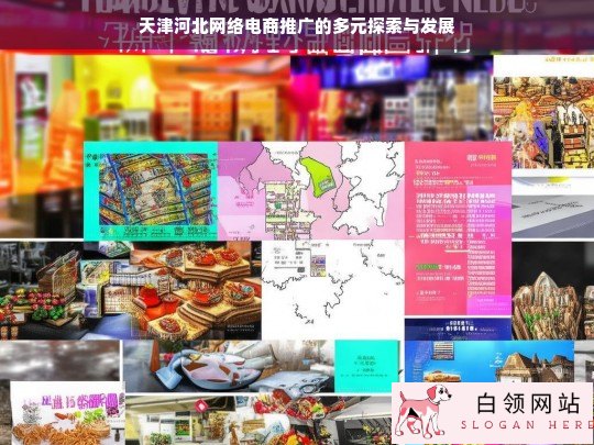 天津河北网络电商推广的多元发展之路