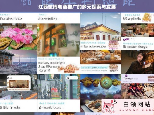 江西微博电商推广的多元之路