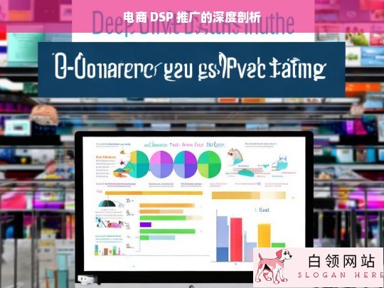 电商 DSP 推广深度剖析