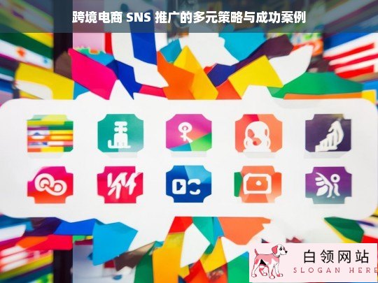 跨境电商 SNS 推广策略与案例解析