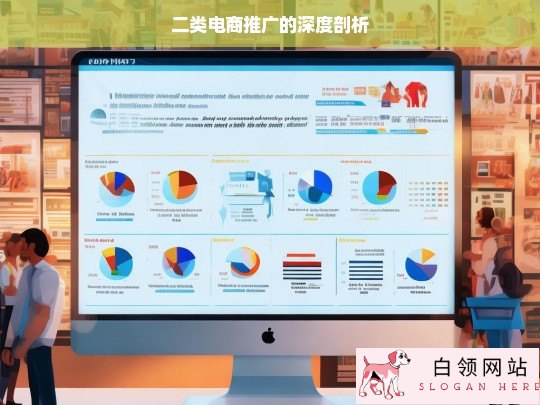 二类电商推广深度剖析