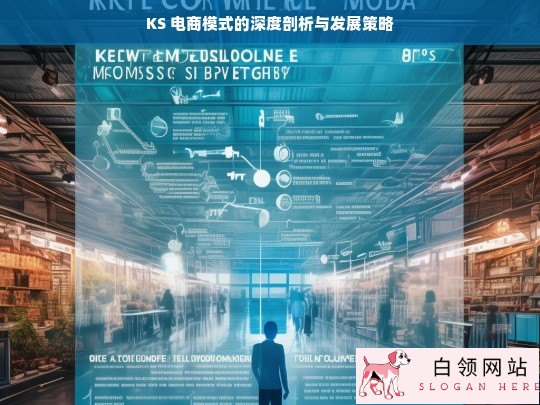 KS 电商模式剖析及发展策略探究