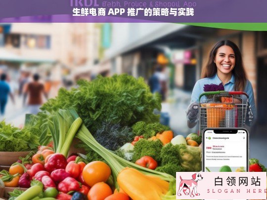 生鲜电商 APP 推广策略与实践探究