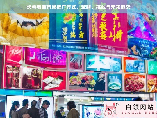 长春电商市场推广策略、挑战与未来趋势分析