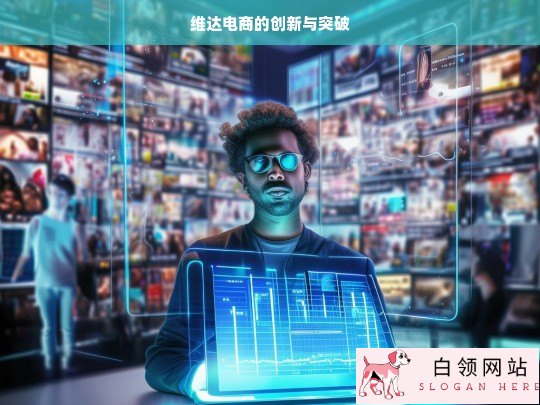 维达电商，创新突破之路