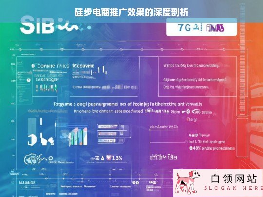 硅步电商推广效果深度剖析