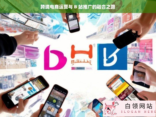 跨境电商运营与 B 站推广的融合策略探索