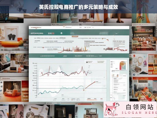 英氏控股电商推广的策略及成效分析