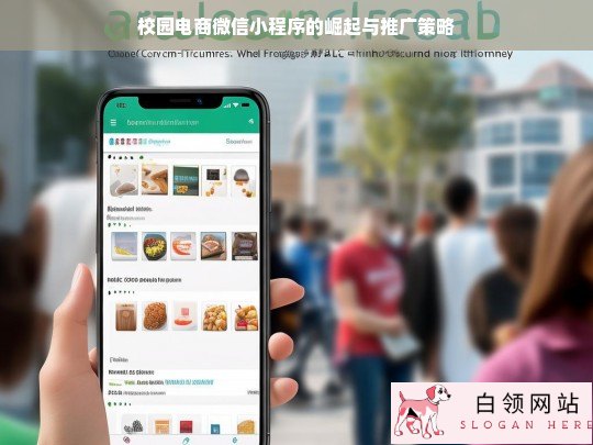 校园电商微信小程序，崛起之路与推广之策