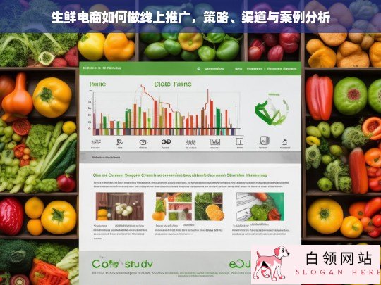 生鲜电商线上推广策略、渠道与成功案例分析