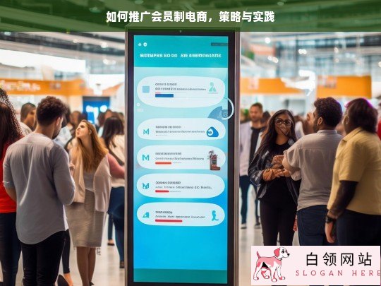 会员制电商推广策略与实践指南
